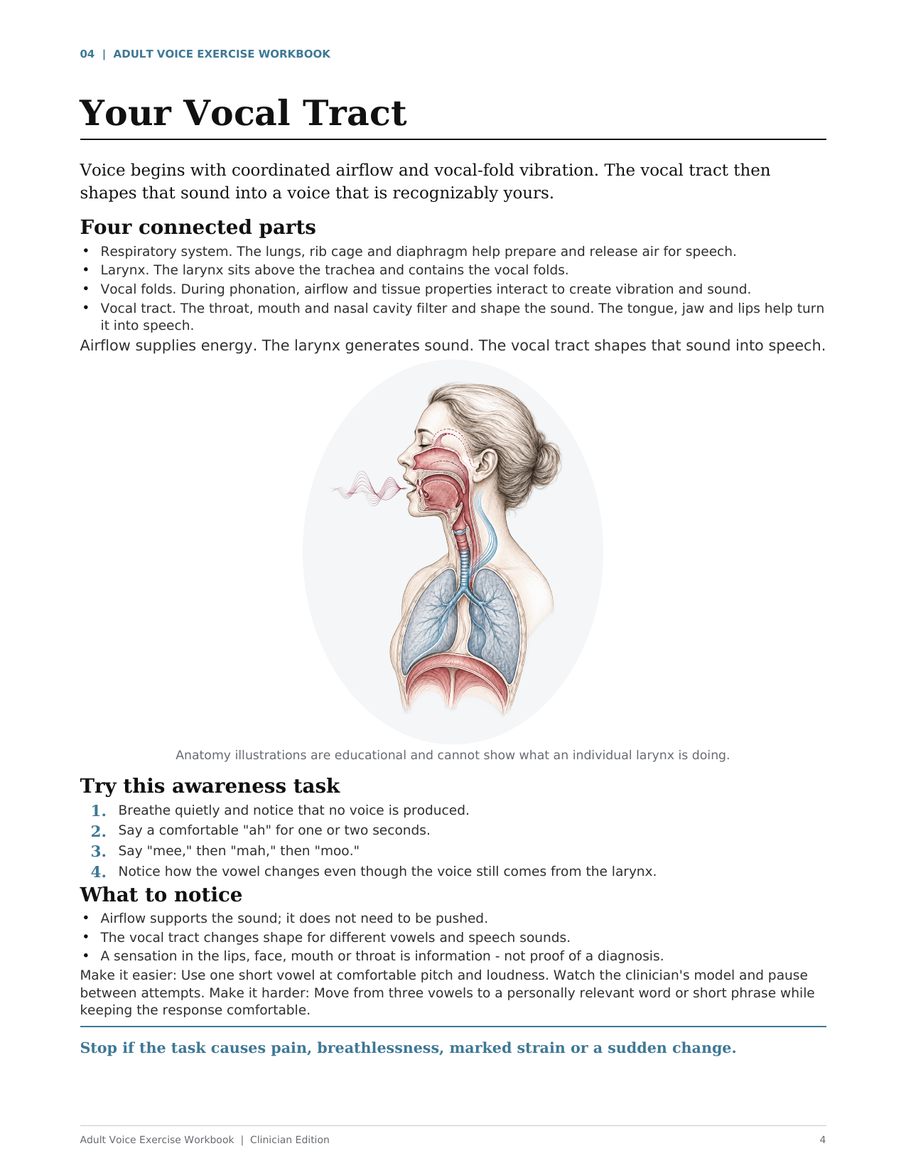 Voice education page — Adult Voice & Resonance Clinical System